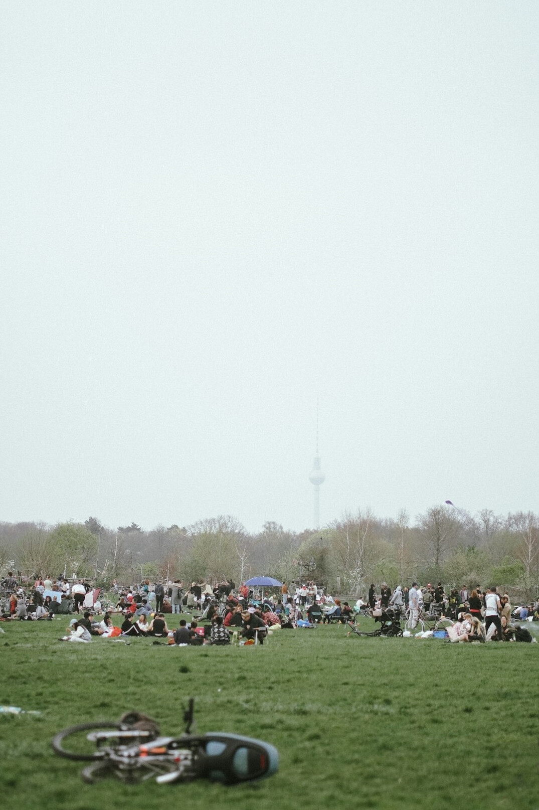 person observing crowd in park